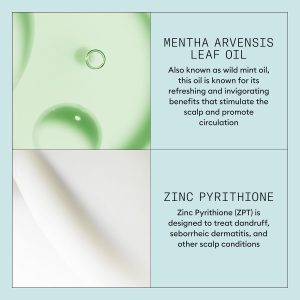 Nioxin Scalp Recovery Purifying Shampoo