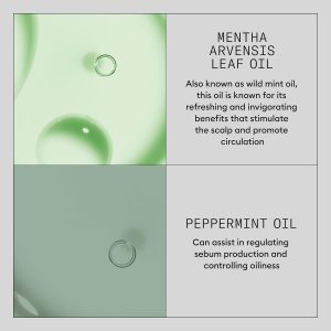 Nioxin Hair Booster Serum | Advanced Leave-In Hair Treatment