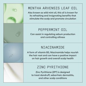 Nioxin Scalp Recovery Anti-Dandruff System Kit